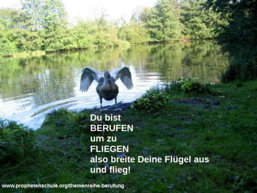 Breite Deine Fluegel aus Berufen