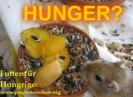 Futter für Hungrige_prophetenschule.org