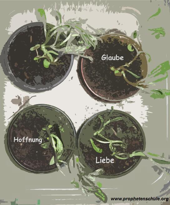 GlaubeHoffungLiebe