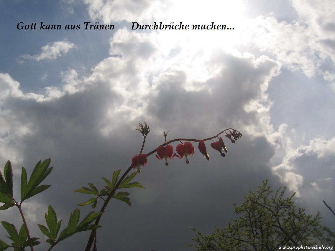 Gott kann aus Tränen Durchbrüche machen