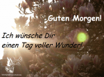 Guten Morgen Wunder