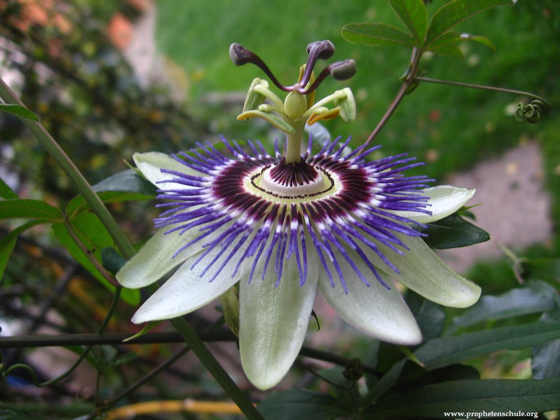 Ist Gott nicht kreativ 2