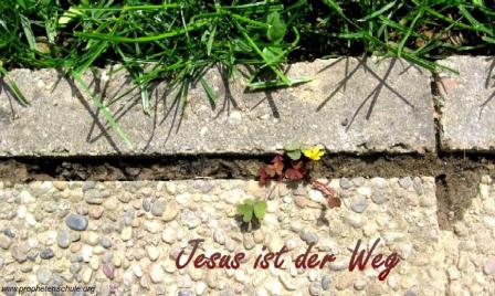 Jesus ist der Weg