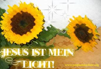 Jesus ist mein Licht, Sonenblume