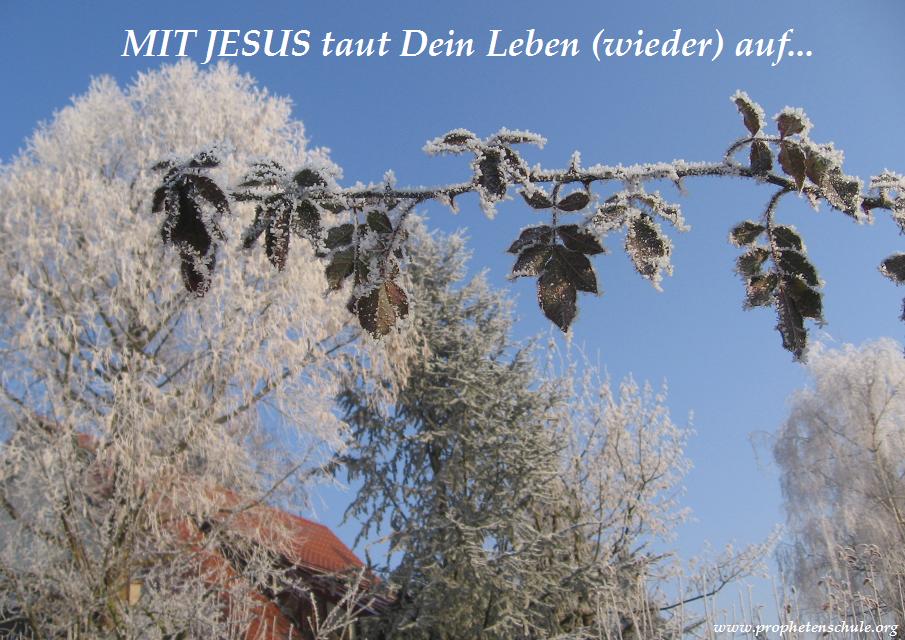 Mit JESUS taut Dein Leben wieder auf