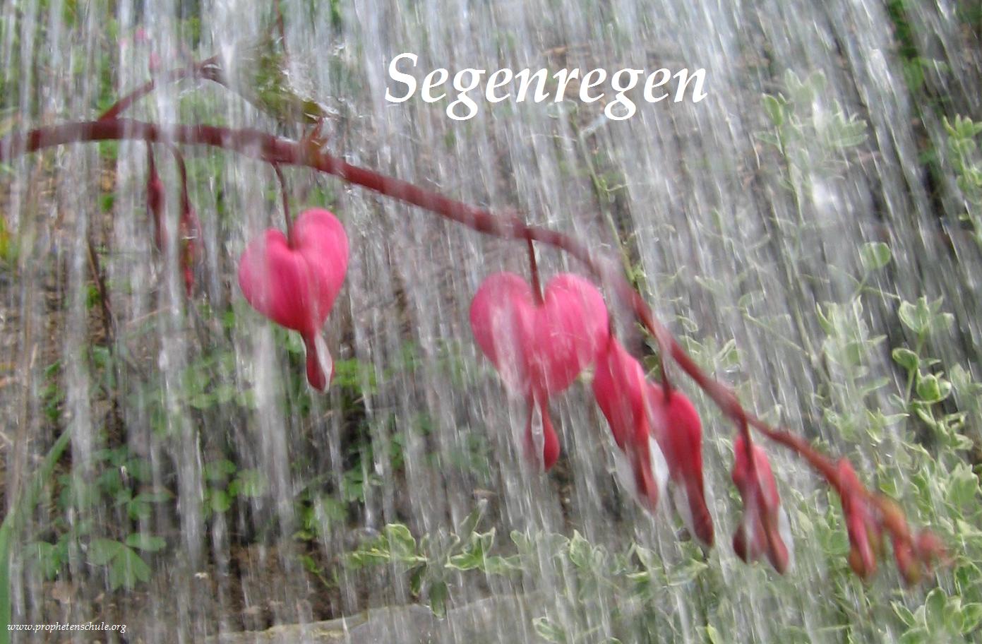 Segenregen! Gottes Segen auf allen Deinen Wegen 2