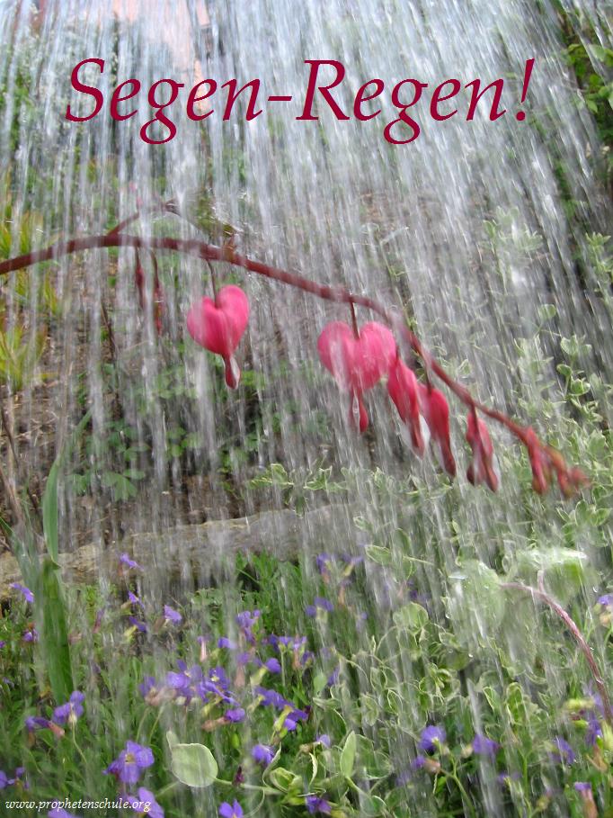 Segenregen! Gottes Segen