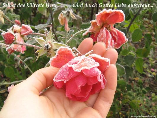 Selbst das kälteste Herz wird durch Gottes Liebe aufgetaut