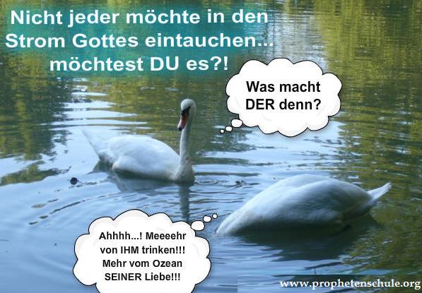 Strom Gottes1_prophetenschule.org