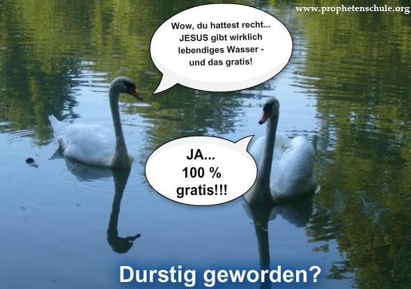 Strom Gottes2_prophetenschule.org