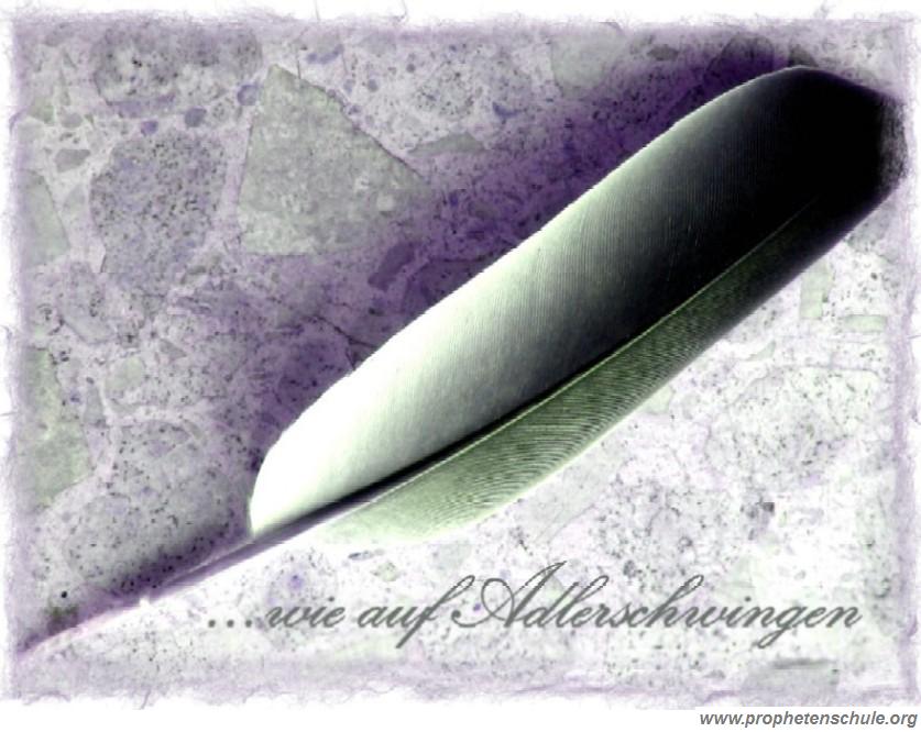 ...wie auf Adlerschwingen