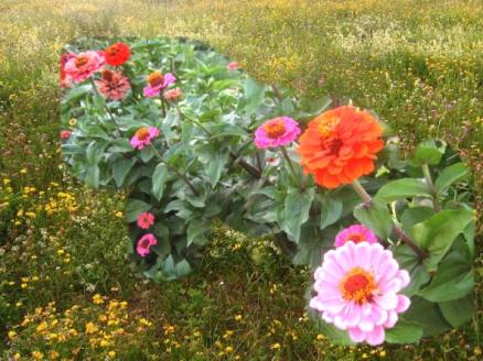 Du bist Gottes wunderschöne Blume!