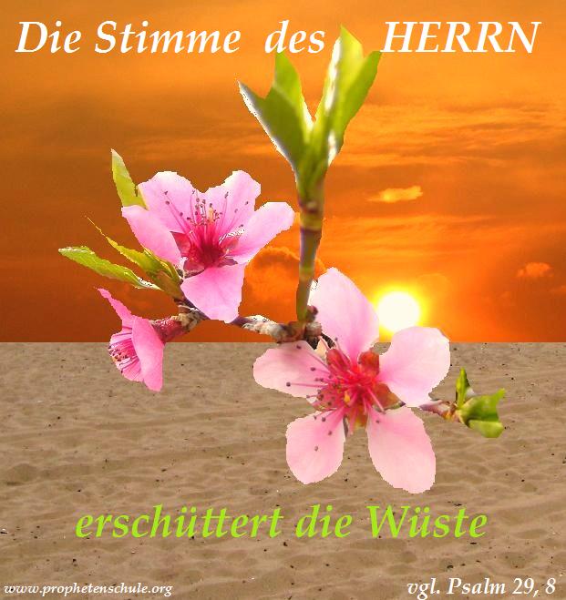 Psalm 29,8 Die Stimme des HERRN