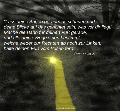 Pfad Licht Sprueche 4