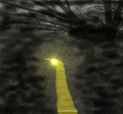 Pfad Licht
