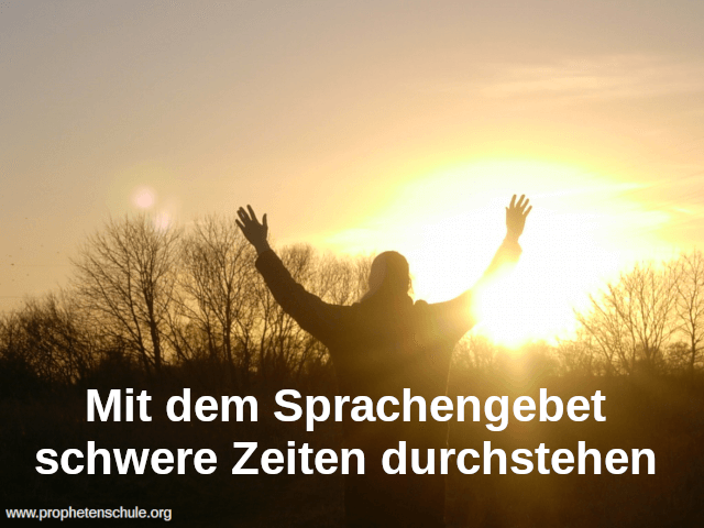 Mann betend vor Sonnenuntergang Prophetenschule