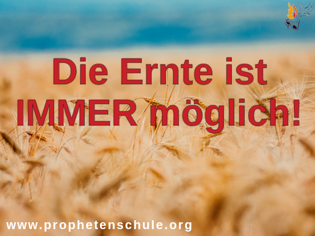 Die Ernte ist IMMER möglich