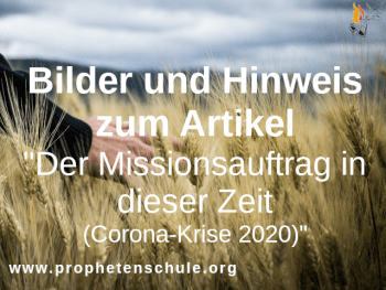 Hand streift durch Ähren im Getreidefeld (Ernte), Missionsauftrag