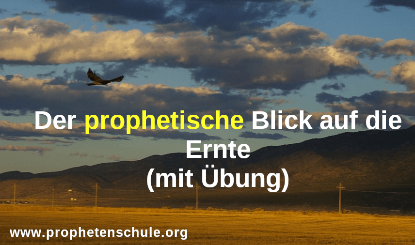 Adler fliegt über Kornfeld - Ernte - mit Text - Der prophetische Blick auf die Ernte (mit Übung) in 16:9