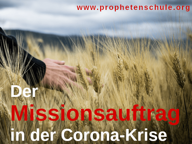 Bild Hand in Ernte / Weizenfeld und Text - Der Missionsauftrag in der Corona-Krise